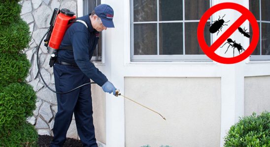 Ardeşen Gümüşkurt İlaçlama böcek ilaçlama ve haşere kontrolü — ilaclama-tr.com